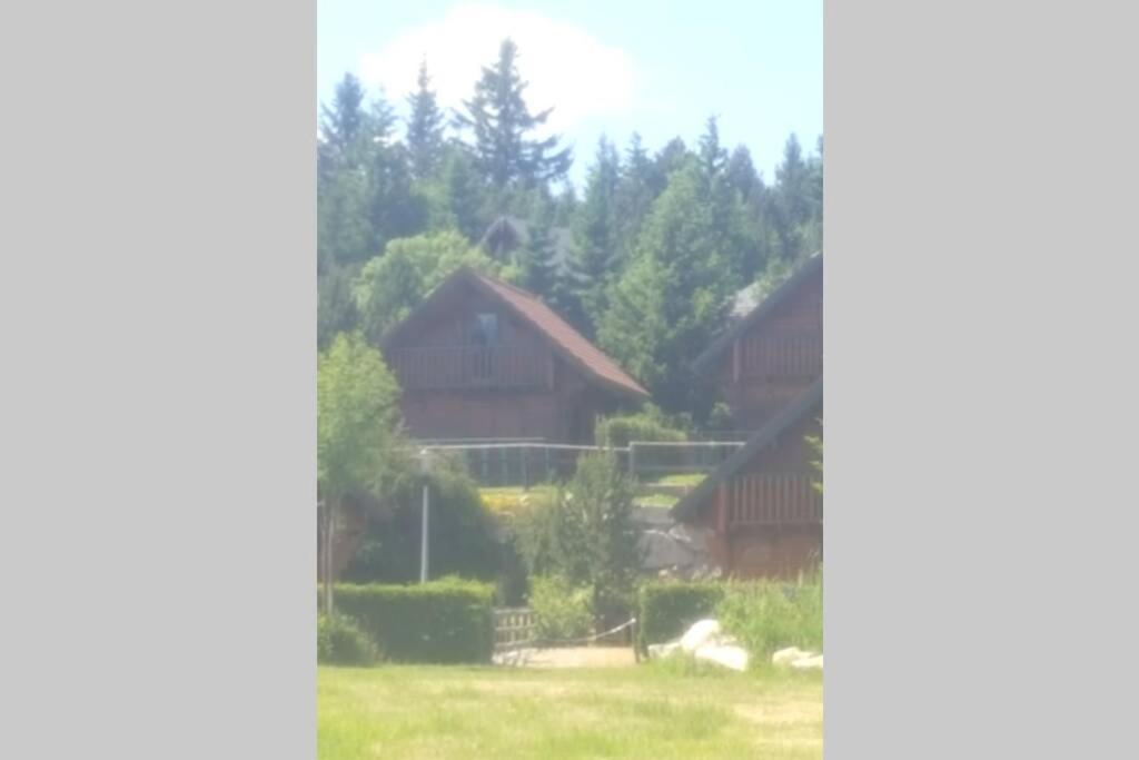 Maison De Bois Finlandaise Au Pied Des Pistes Bolquere ภายนอก รูปภาพ